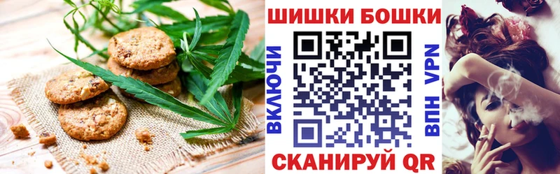 Печенье с ТГК марихуана  OMG   Сланцы  продажа наркотиков 