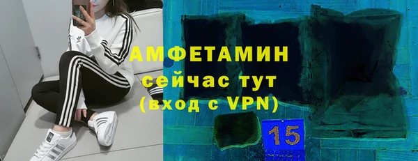 гашик Богородск