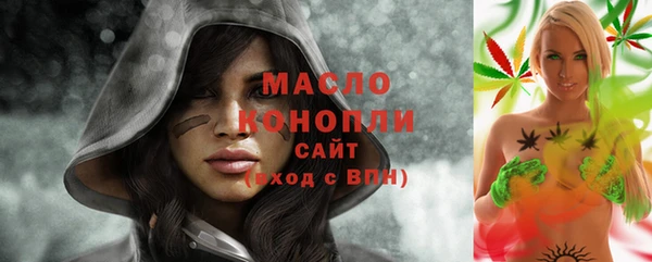 гашик Богородск