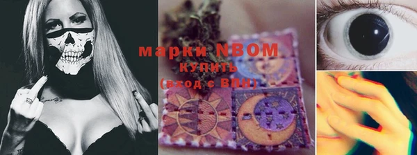 соль ск Богданович