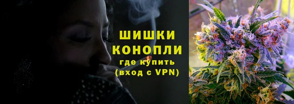 соль ск Богданович