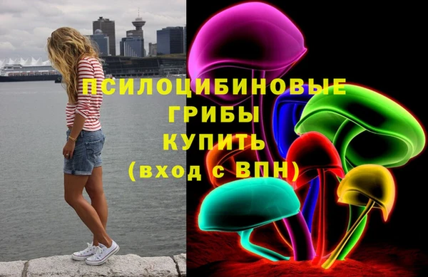 ALPHA PVP Богородицк