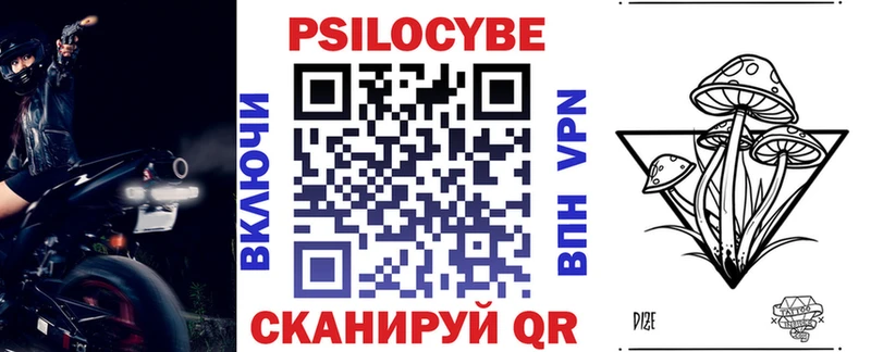 где продают наркотики  Сланцы  Псилоцибиновые грибы Psilocybine cubensis 