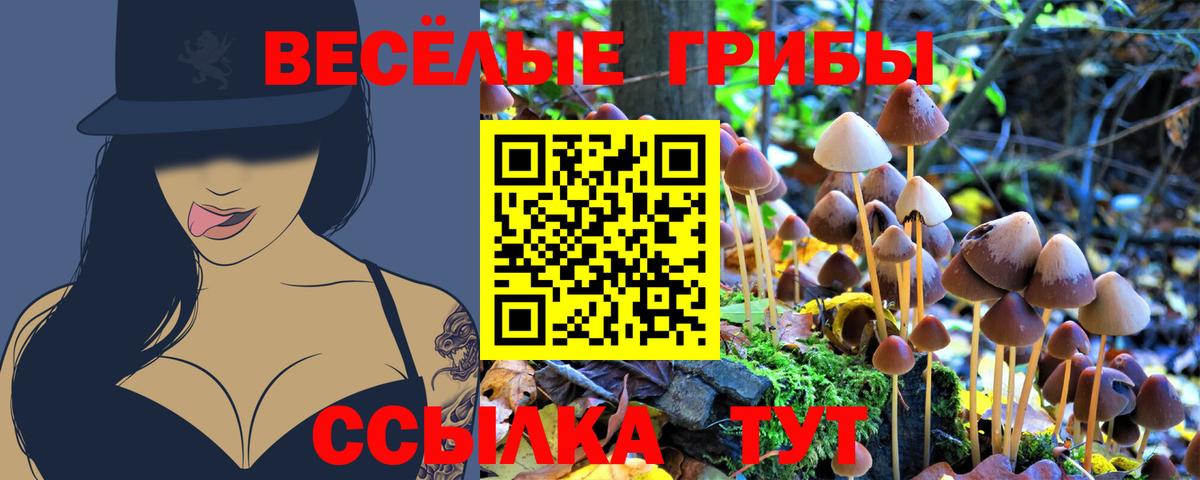 Сланцы  Галлюциногенные грибы Psilocybine cubensis  Вход с VPN 