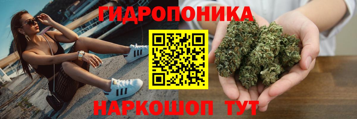 Конопля ГИДРОПОН  Марихуана OG Kush  Вход с VPN  Сланцы 